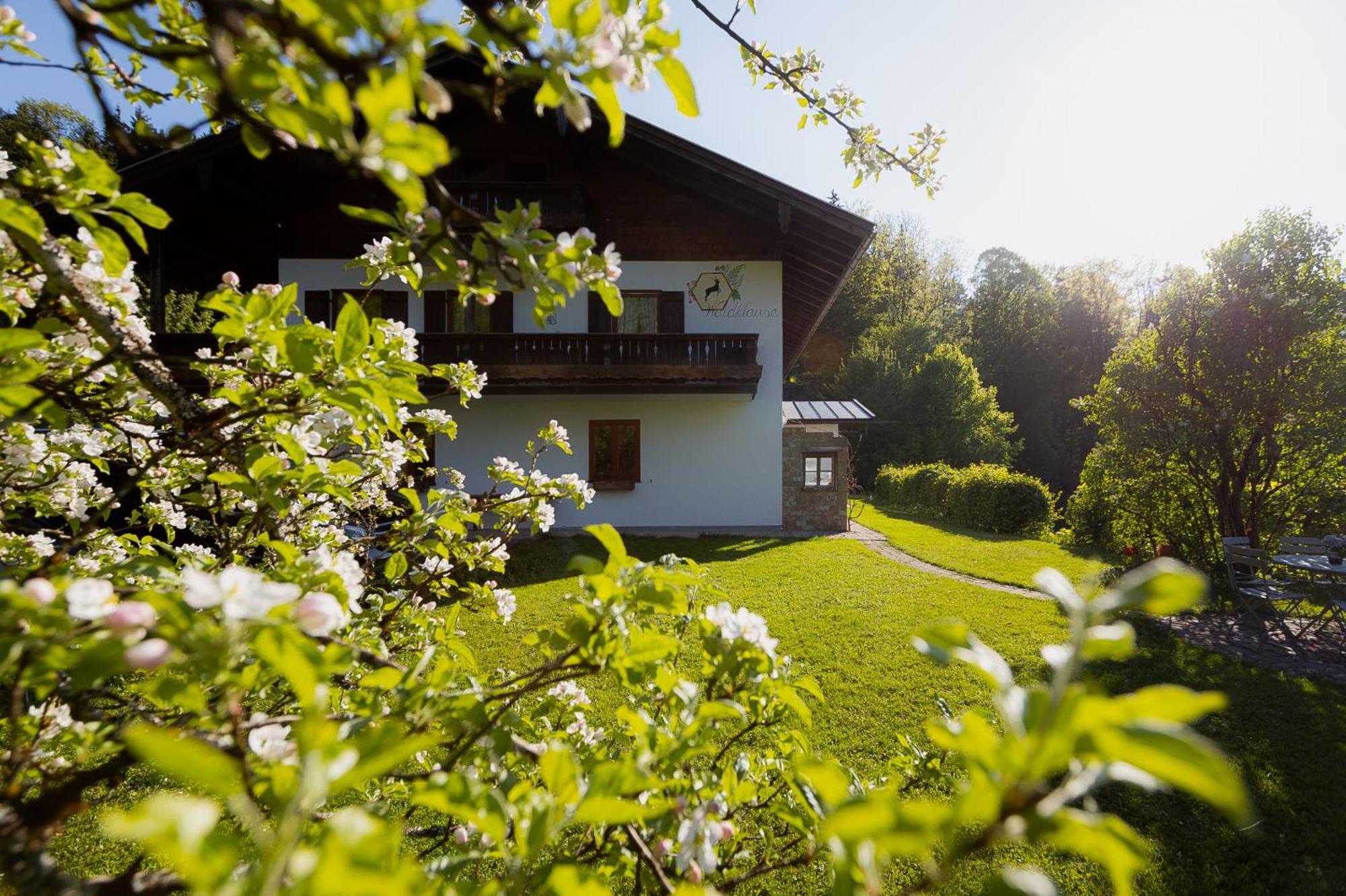 Ferienwohnung Mankei Schönau am Königssee Dış mekan fotoğraf